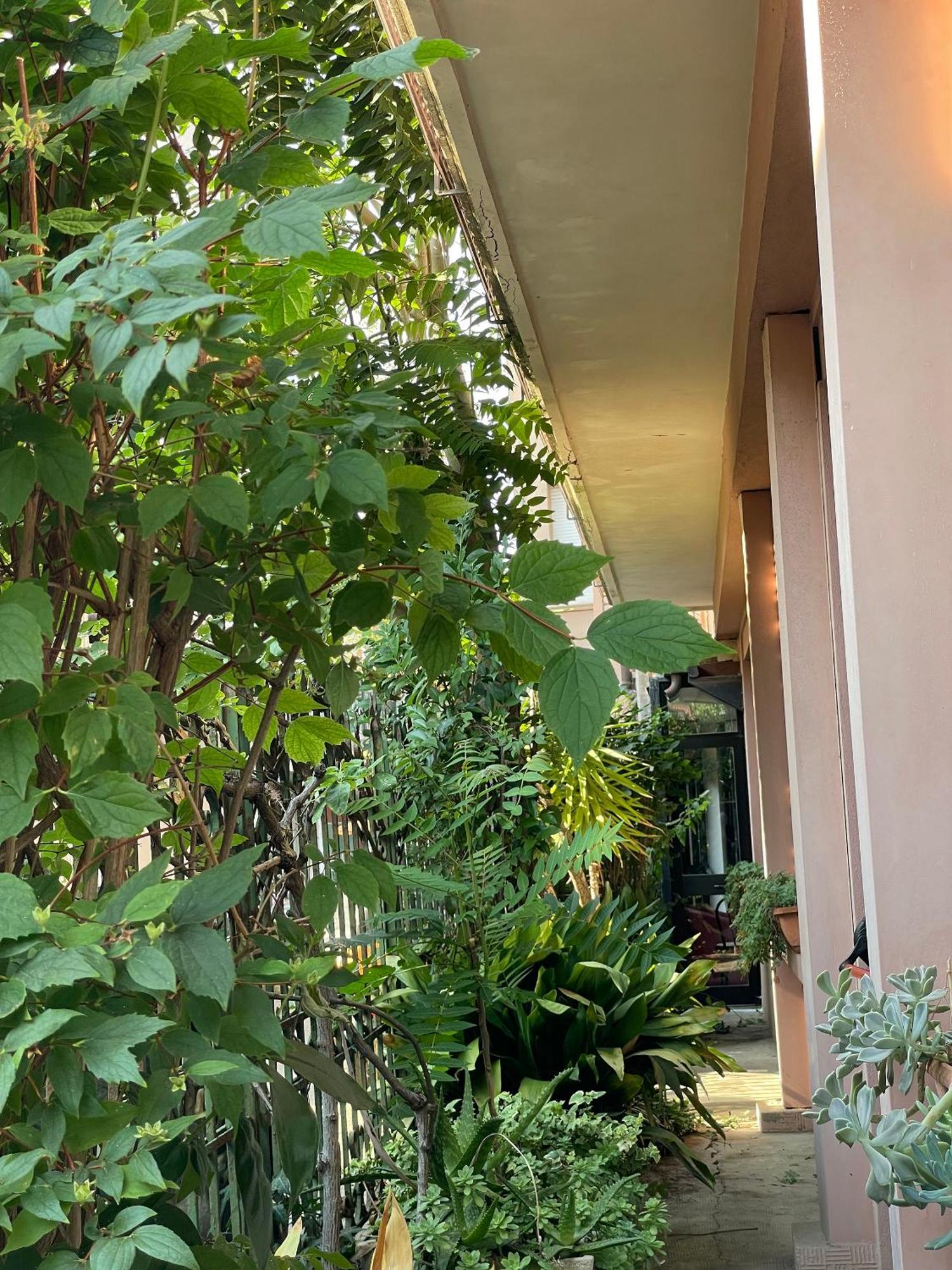 Hotel Berlino Cattolica Eksteriør bilde